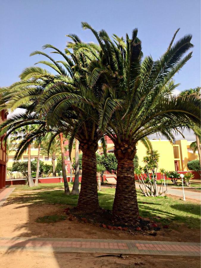 Апартаменты Fuerteventura - La Caleta, Parques Holandes Ла-Олива Экстерьер фото